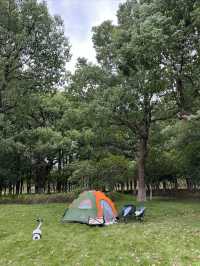 東沙湖生態公園