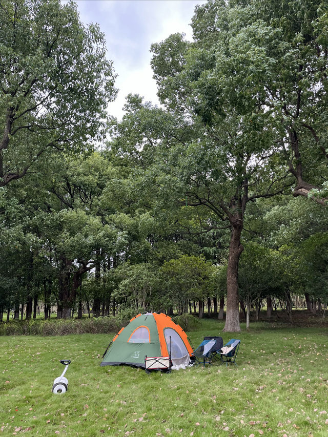 東沙湖生態公園