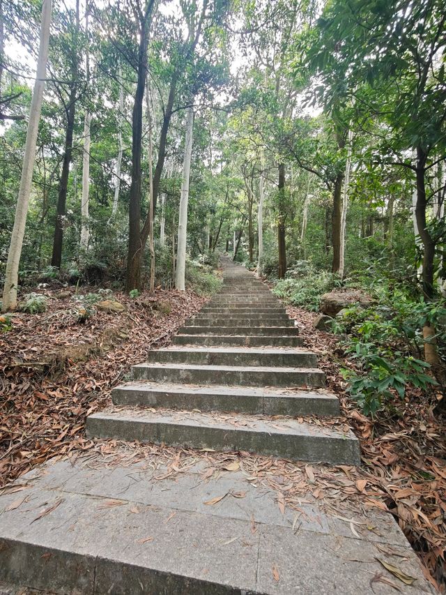漳州 將軍山公園