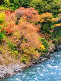 10月賞秋米亞羅彩林徒步一日遊快衝