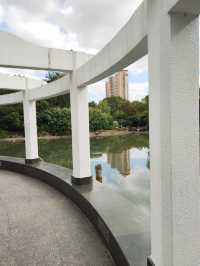 新虹橋公園漫步指南
