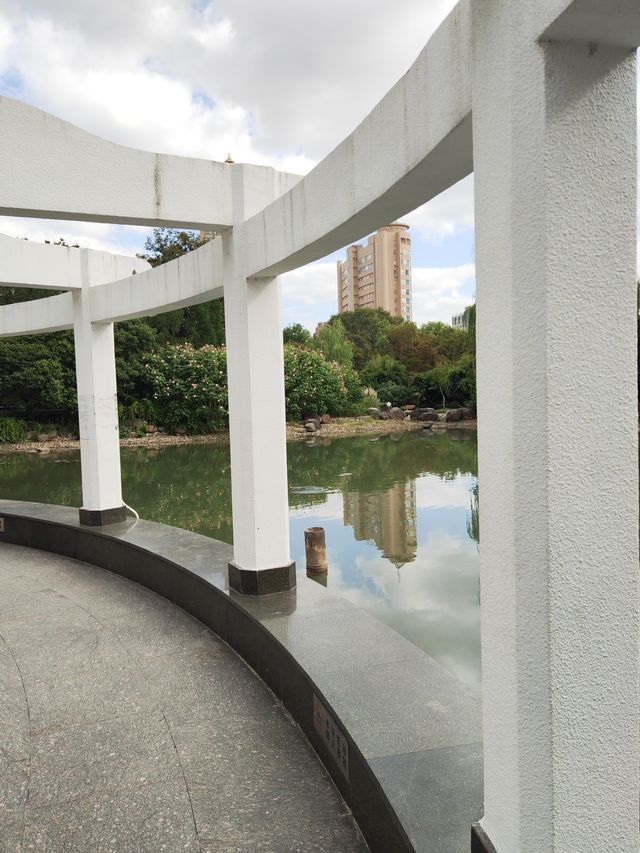 新虹橋公園漫步指南