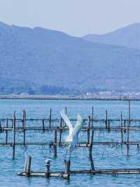 廣東小眾海島漫遊指南,治癒值拉滿----鹽洲島
