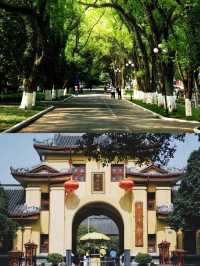 秋天來桂林 2天玩到不想走