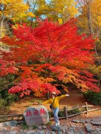 崆峒山秋日童話丨一眼驚豔的紅葉打卡攻略