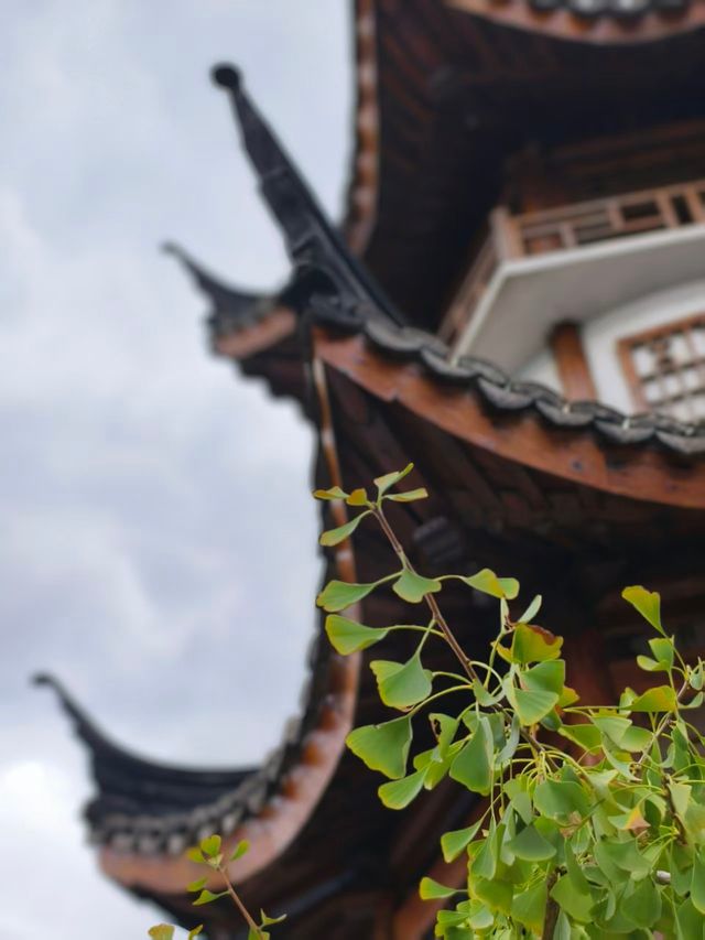 新義的田園風光 新義的田園風光