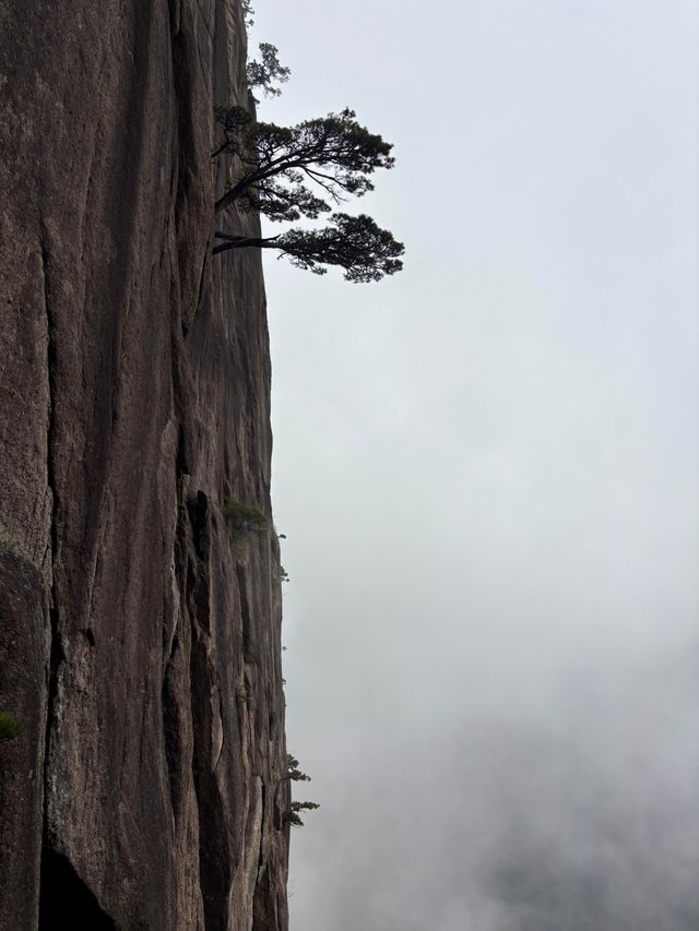 雲海仙境!10月黃山絕美登頂全攻略 雲海仙境!10月黃山絕美登頂全攻略
