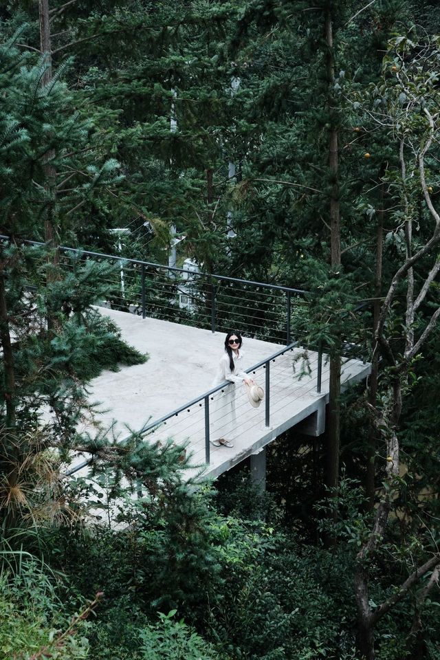 逃離長沙1小時！在瀏陽山野住進了治癒系童話裡～