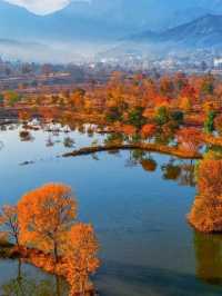 水上紅葉、晨霧牧牛，秋季必打卡的天堂