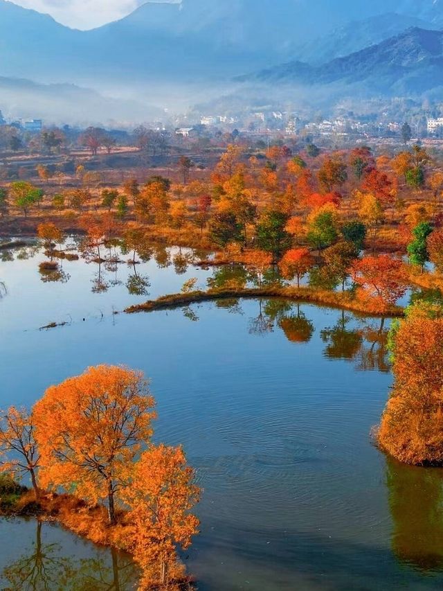 水上紅葉、晨霧牧牛，秋季必打卡的天堂