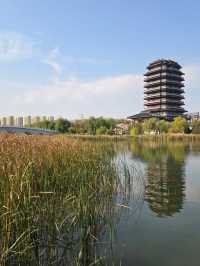 淄博小眾文藝地標攻略-海岱樓鐘書閣