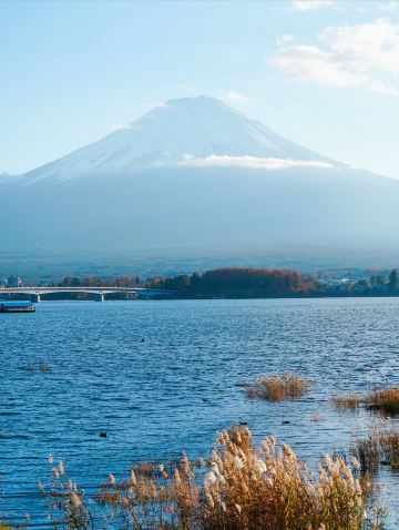 Japan's autumn foliage season is here! A look back at last year's