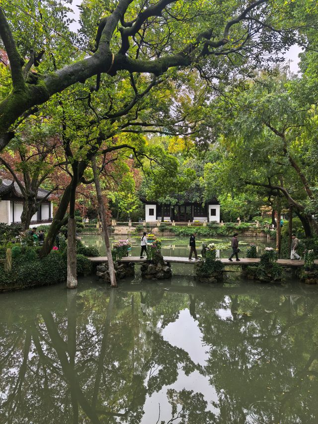 曲水園的菊花展已經幫你們看過了 曲水園的菊花展已經幫你們看過了