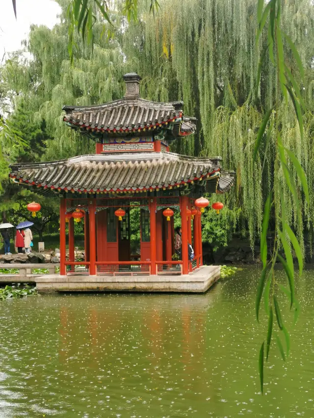 雨潤大觀.翠影浮光