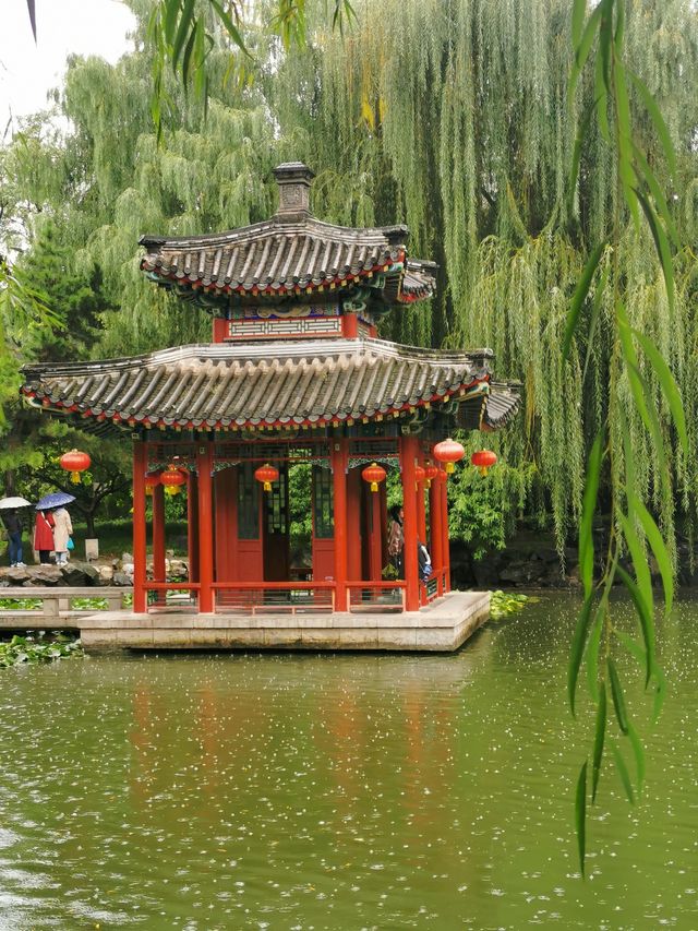 雨潤大觀.翠影浮光 雨潤大觀.翠影浮光