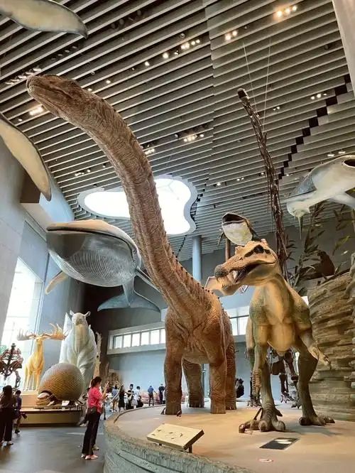 上海自然博物館 | 會呼吸的綠螺,超震撼的自然世界! 上海自然博物館 | 會呼吸的綠螺,超震撼的自然世界!