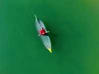 金秋必衝!金塔胡楊林500字治癒系攻略