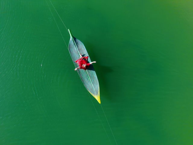 金秋必衝!金塔胡楊林500字治癒系攻略 金秋必衝!金塔胡楊林500字治癒系攻略