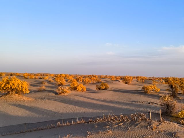 2025南疆庫車_喀什十天胡楊遊 2025南疆庫車_喀什十天胡楊遊