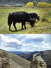 新都橋這家酒店美到犯規啦！