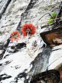 梅家大院百年騎樓探秘