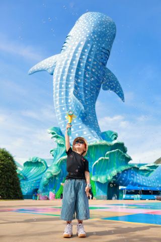 Zhuhai Chimelong Follow Shoot