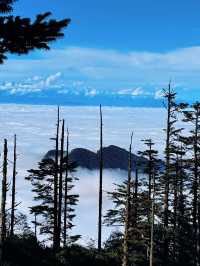 瓦屋山秋冬逃票攻略！免費期衝啊 