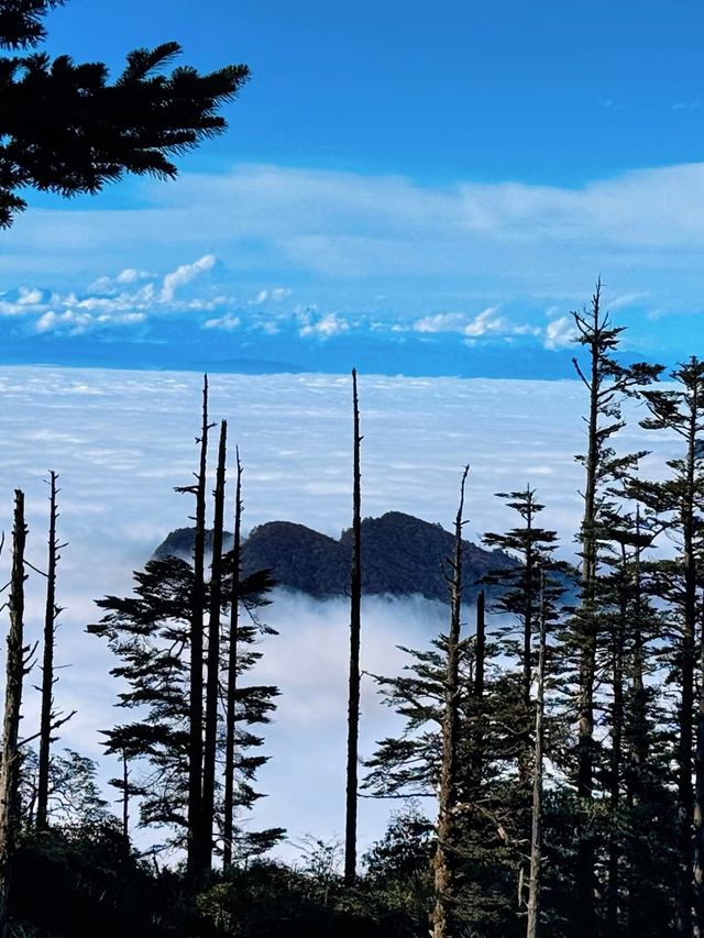 瓦屋山秋冬逃票攻略！免費期衝啊 