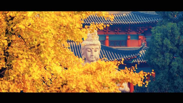 南京最禪意銀杏地毗盧寺私藏機位攻略