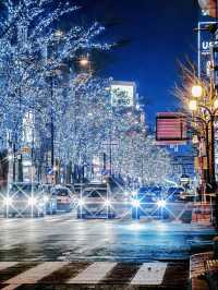 北海道札幌冬日點燈全攻略比東京還浪漫的白色燈樹節?