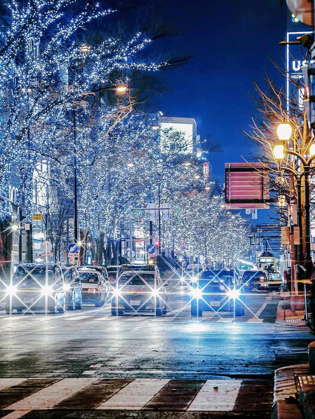 北海道札幌冬日點燈全攻略比東京還浪漫的白色燈樹節?