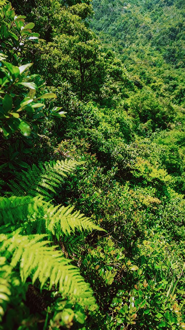 廣州增城白水寨天然氧吧你去過幾次? 廣州增城白水寨天然氧吧你去過幾次?