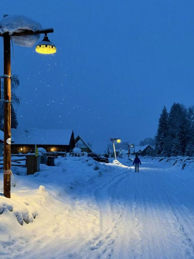 自駕新疆｜凜冬之際，與喀納斯的一場邂逅～