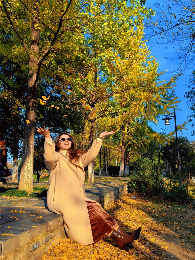 11.20實拍，武漢市中心看銀杏就這裡人最少