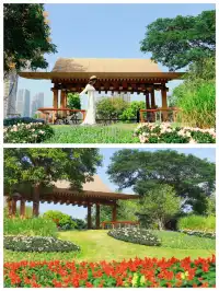 深圳地鐵直達的彩虹花海!這個公園太寶藏