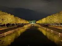東京賞秋必看—昭和紀念公園銀杏燈光秀攻略