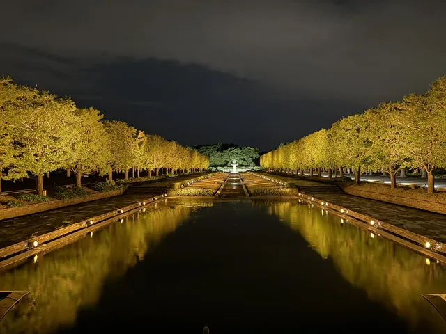 東京賞秋必看—昭和紀念公園銀杏燈光秀攻略