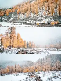 黨嶺3天2夜徒步攻略(不露營版)