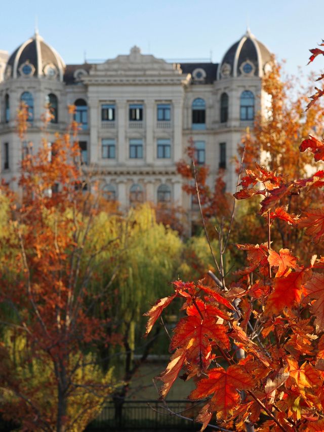 蘇州河畔超全秋日打卡攻略隨手拍都是電影感! 蘇州河畔超全秋日打卡攻略隨手拍都是電影感!