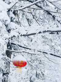 冬天去長白山-哈爾濱-漠河北極村絕了