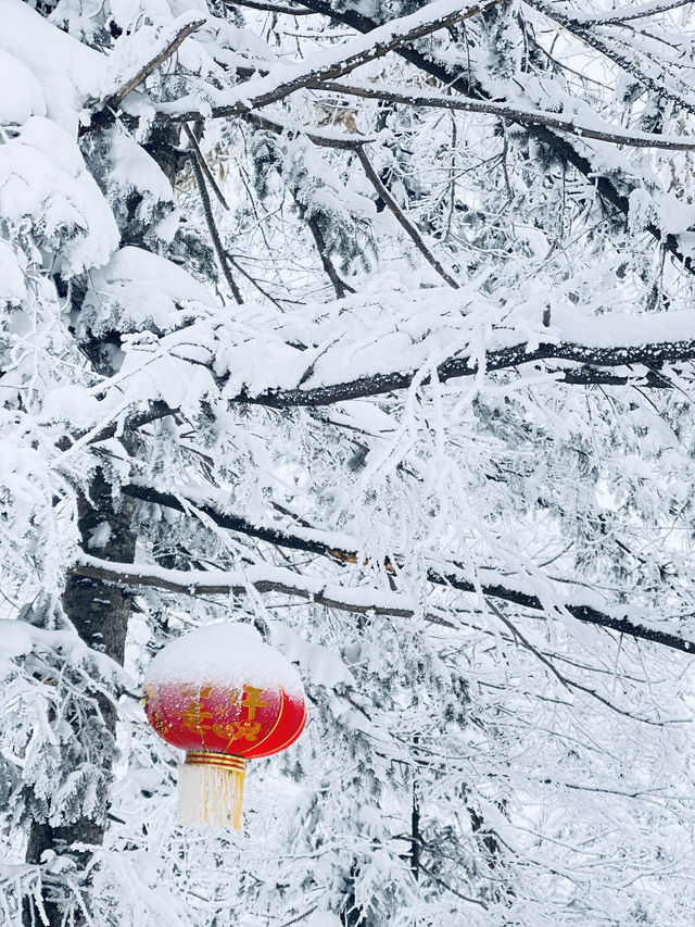 冬天去長白山-哈爾濱-漠河北極村絕了