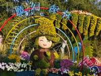 共青森林公園菊花展美翻啦