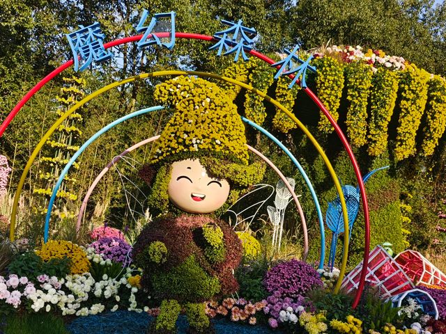 共青森林公園菊花展美翻啦 共青森林公園菊花展美翻啦