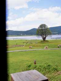 雪山腳下｜麗江自然野奢的天花板！