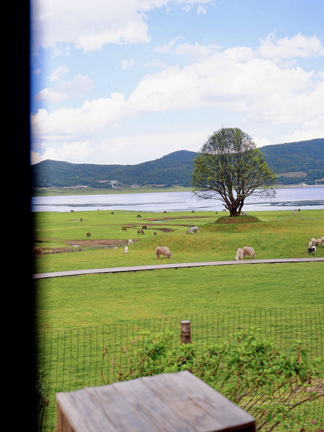 雪山腳下｜麗江自然野奢的天花板！
