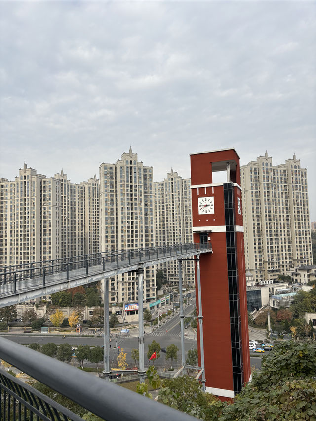 宜昌城東公園漫遊記 | 城市綠肺與長江風情完美結合  這幾天在宜昌發現了一個週末放空的好去處