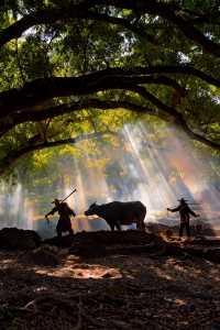 人回來了，心還在霞浦