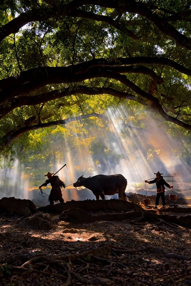 人回來了，心還在霞浦