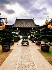 上海追秋 千年銀杏+元代古寺|真如寺打卡全攻略