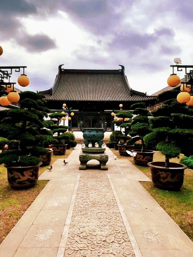 上海追秋 千年銀杏+元代古寺|真如寺打卡全攻略 上海追秋 千年銀杏+元代古寺|真如寺打卡全攻略